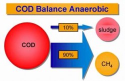 Figure. Comparison of the COD balance during anaerobic and aerobic treatment of wastewater containing organic pollution